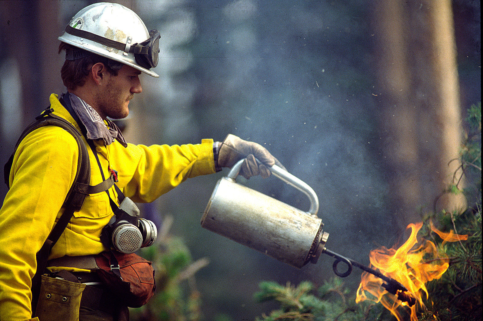 Brian Campbell burns built up fuel near buildings at Grant Village